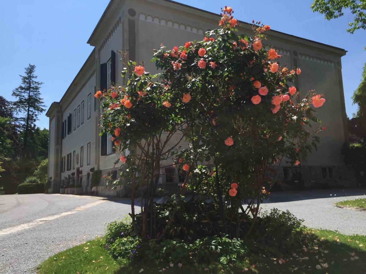 White Flat By Grazrentals With Cool Location & Free Parking Extérieur photo